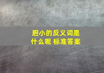 胆小的反义词是什么呢 标准答案